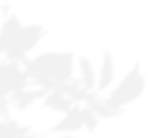 나뭇잎